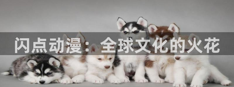 魔法动漫