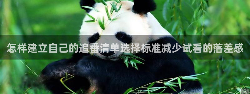 最新新番动漫