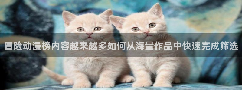 动漫网在线
