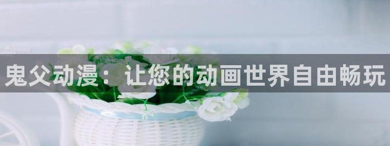 动漫更新