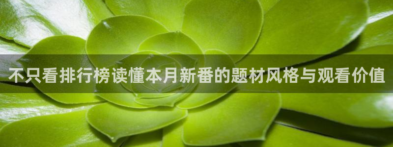 热门动漫