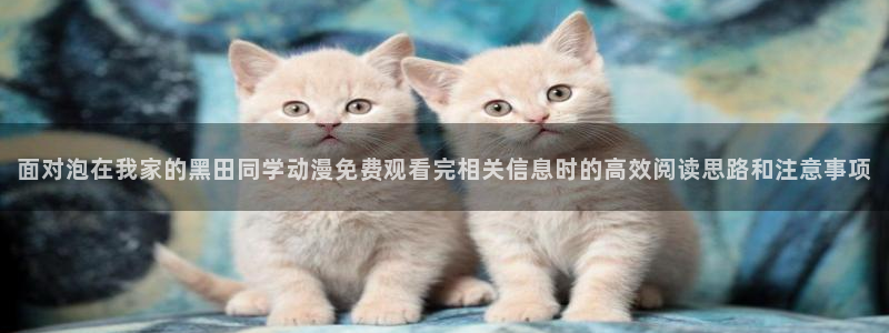 热门动漫资讯