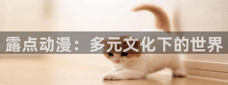 动漫大全