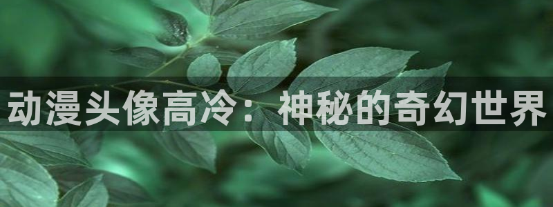 动漫作品介绍