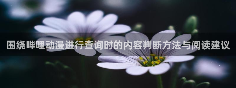 新番动画大全