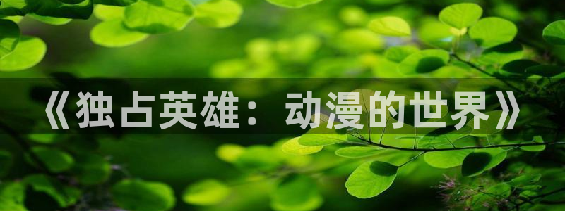 动作动漫