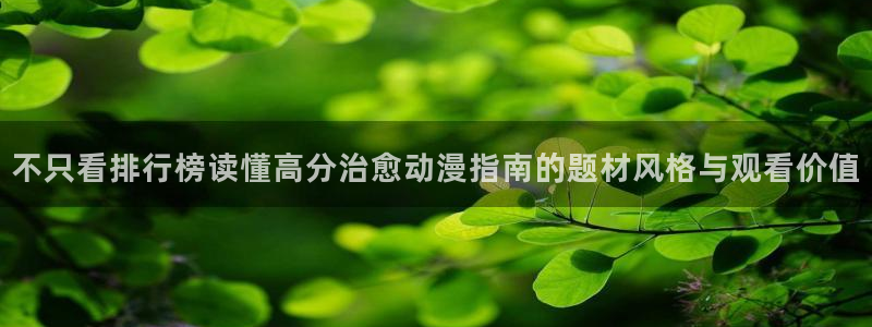 动漫更新表