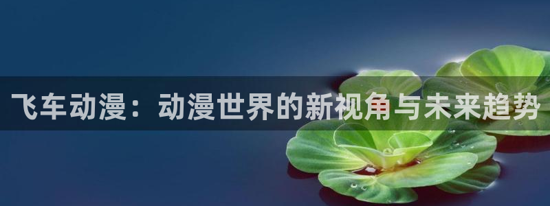 动漫资源大全