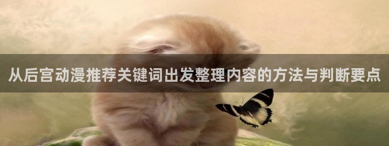 动漫资讯网