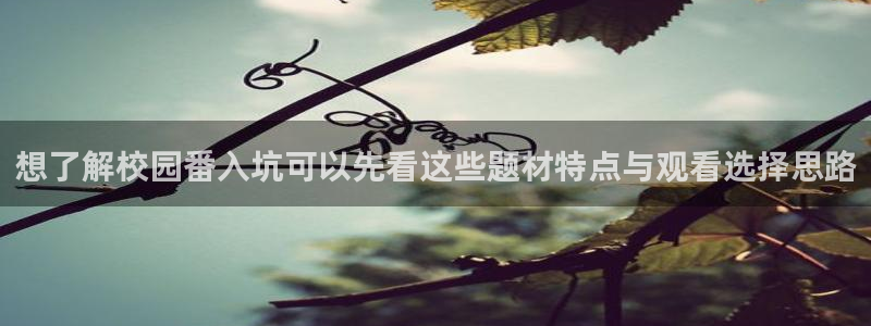 动漫新闻资讯
