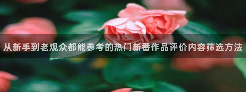 动漫年度推荐